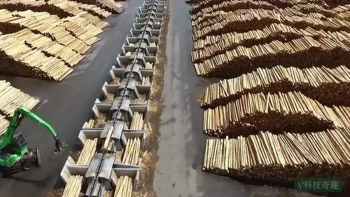 食品包装机械展览会，老师傅教你避开常见坑